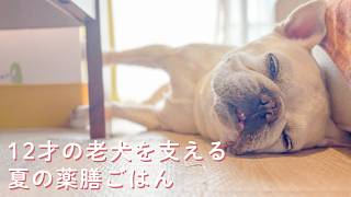 【老犬と立夏の暮らし】暑さに負けない薬膳ごはんと森の木漏れ日さんぽ