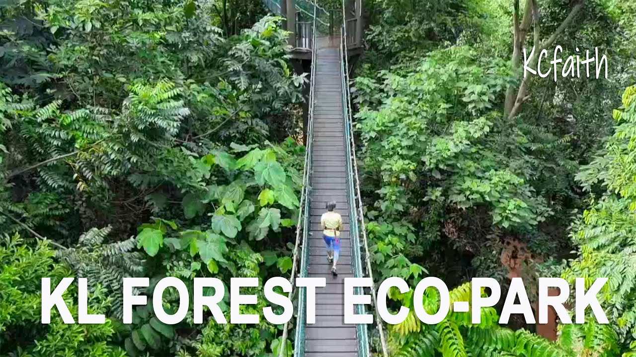 Embark on an immersive virtual journey through KL Forest Eco Park.
