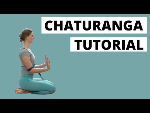 Chaturanga wie geht's richtig | Chaturanga dandasana lernen | Yoga halbe Liegestütze | Tutorial