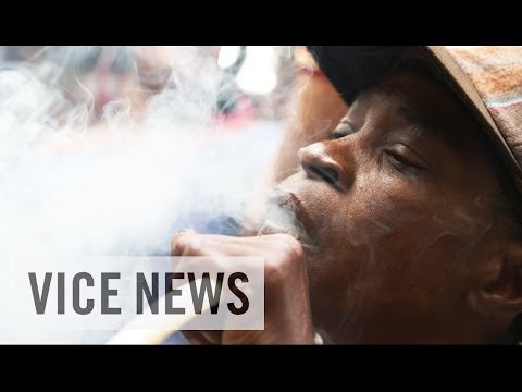 Jamaican Bud Business : Meet Medicanja