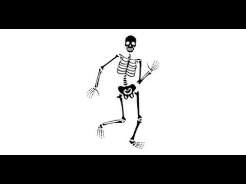 Canción Rap Los huesos del cuerpo humano