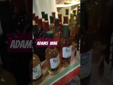 ADAMS WINE IN ILOCOS NORTE #hashtag #experiencenature