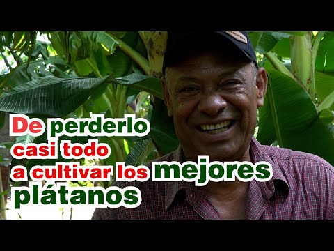 Don Patricio de Belén, Rivas: de perderlo todo a cultivar los mejores plátanos