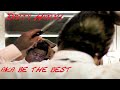 James Brown, Fred Wesley & J.B.'s - Dirty Harri (aka Be The Best)