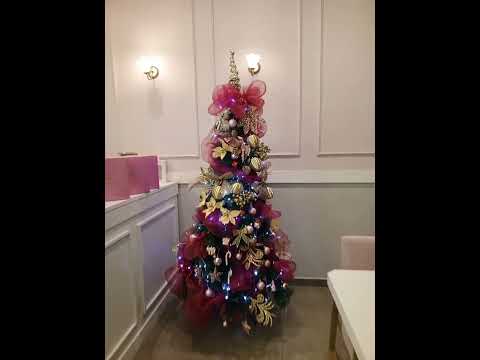 Social Pet. Lindo evento na loja gourmet Amarena Jaguariuna São Paulo. Uma excelência.