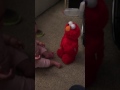 Ava Meets Tickle Me Elmo