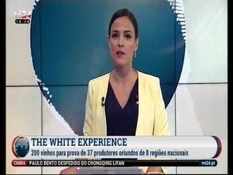 TV24   Notícias The White Experience Soalheiro Alvarinho Albarino Vinho Verde Best Wine