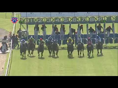 RM3 R4 - Down Under(M.R.Hoolash)