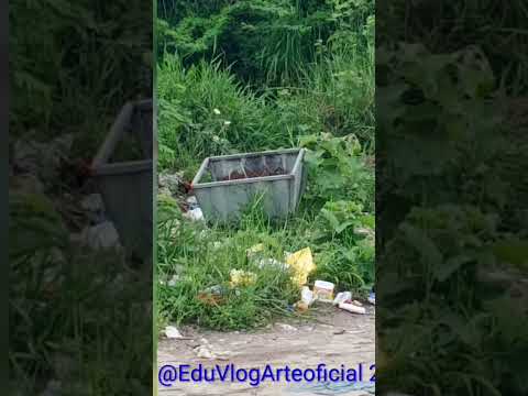a cidade santo Estevão Bahia lagoa satanás abandonado pelo prefeito da cidade.
