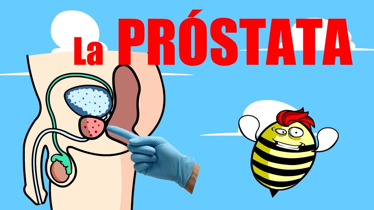 La PRÓSTATA 🌰Lo que todo HOMBRE debe saber y no le han contado.