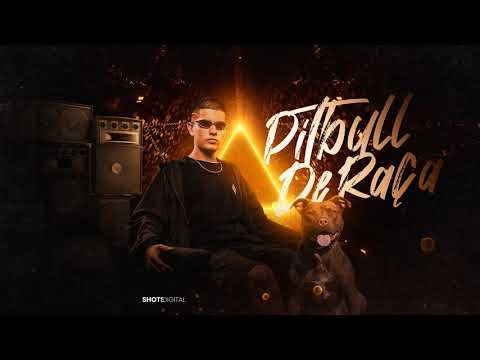 MEGA FUNK PITBULL DE RAÇA - DJ VICTOR SCHMITZ