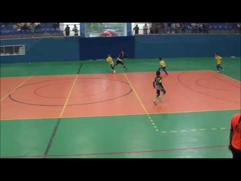copa catarinense 2016,gol do vinicius montagna,sub 10