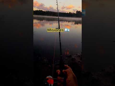 Wanda ,Misiones Argentina 🤠🎣🇦🇷🇦🇷🇦🇷🇦🇷🇦🇷