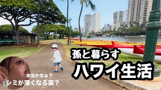 【孫と暮らすハワイ生活vlog】 ヤモリ怖いっ/シミが悪化した/孫２歳3ヶ月/#ハワイ暮らし /夫婦vlog #family #hawaii #honolulu