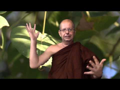 Einsichtsmeditation 1 - Der Weg zum Stromeintritt - Chantasaro Bhikkhu
