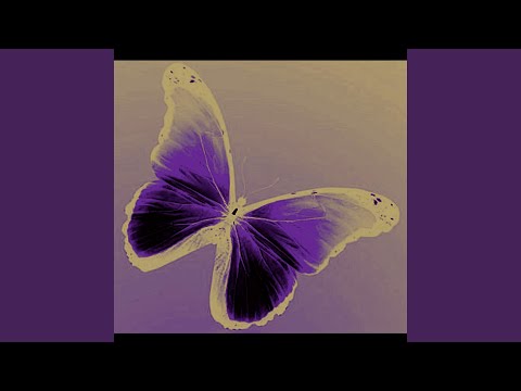 When A Butterfly Flaps its Wings