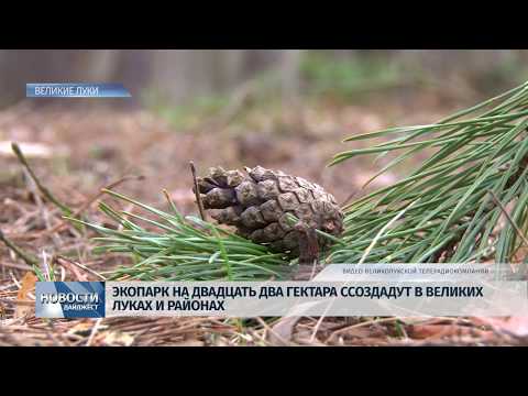 Новости Псков 23.01.2020 / В Великих Луках откроют экопарк на 22 гектара