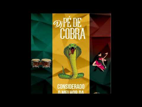 dj pe de cobra salsa y son 2018