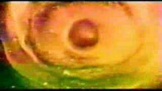 Harsh Stone White - Skinny Puppy