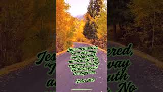 Jesus is The Way #shorts #worship #gospel