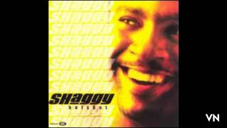 Shaggy - Leave It To Me.