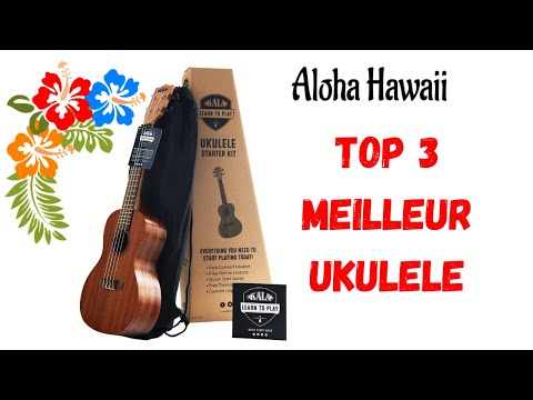 TOP 3  MEILLEUR UKULELE 2021