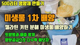 중온성 Gcm미생물1차 배양 방법 젤라틴키틴분해미생물로 토양병과 해충방제 및 양분공급으로 다수확이 가능합니다…