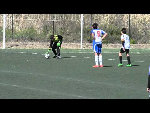 U.E ALCUDIA VS SALLISTA (ALEVINES)