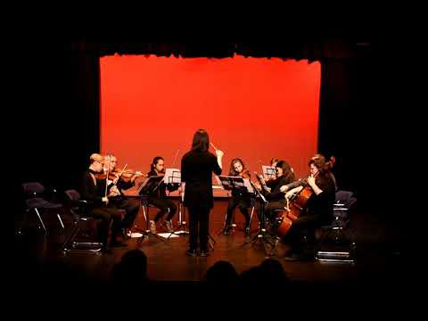 LMC String Orchestra - Serenade for Strings