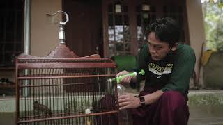 Download lagu Boleh keluar tapi di dalam mp3