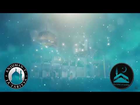 Wiladat Day - Imam Ali Ridha (AS)