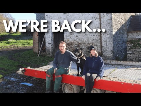 Renovating our house will never be the same. (ep.34)