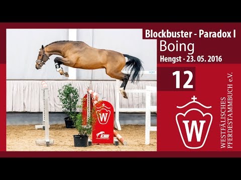 12 Boing Hengst v. Blockbuster - Paradox I