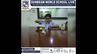 brilliant Grade 6 student
