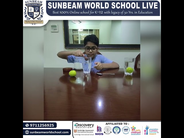 brilliant Grade 6 student