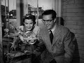 It Happens Every Spring 1949 Ray Milland & Jean Peters