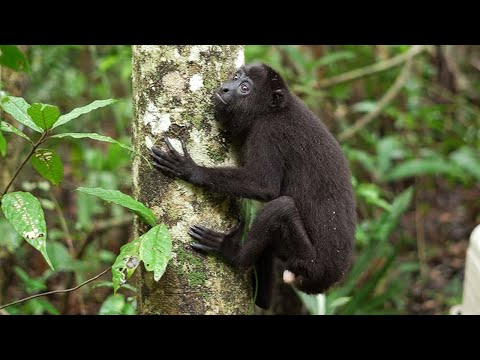 27 wild animals are finally free