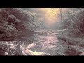 Dana Falconberry and Medicine Bow - From the Forest Came the Fire teaser