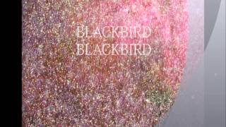 Blackbird Blackbird - So Sorry Girl