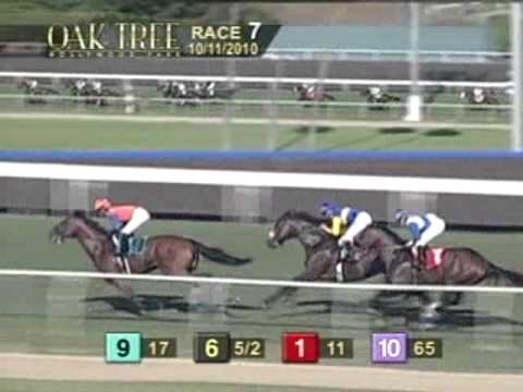 2010 Morvich Handicap