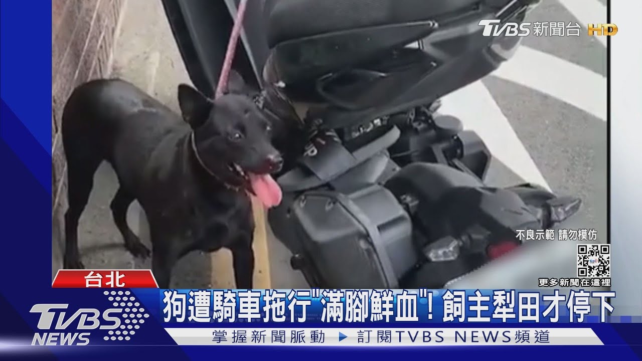 男騎車「沿路拖行」小黑狗!遭民眾狂叭犁田