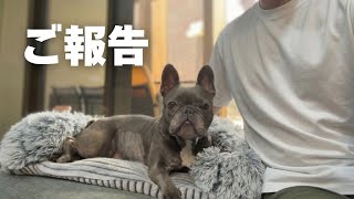 【ご報告】ずっと応援してくださった皆さんへ。本当にありがとうございました