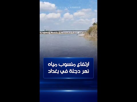 شاهد بالفيديو.. مناسيب المياه في نهر دجلة ترتفع إلى الضعف بسبب الموجة المطرية التي يشهدها العراق