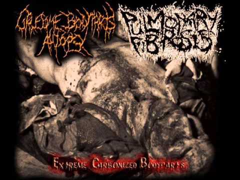 Gruesome Bodyparts Autopsy - Carnal Temptation Drives Me... (Neuro-Visceral Exhumation Cover)