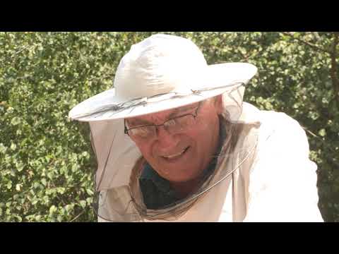 Boja meda ep.89 19.11.2019. - pčelarstvo na Juhoru, nozemoza, položaj košnica tokom zime