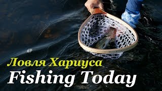 Приманки для ловля хариуса на спиннинг