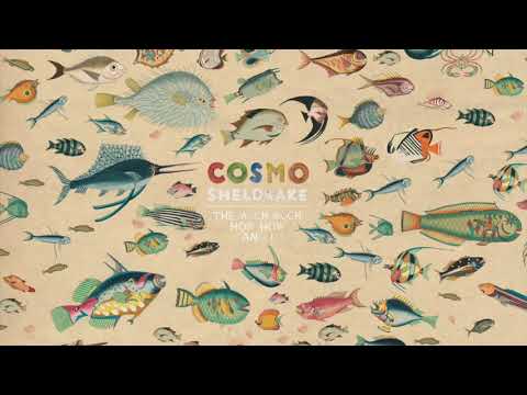 Cosmo Sheldrake - Linger Longer (Instrumental)