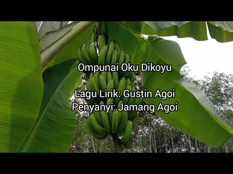 Ompunai Oku Dikoyu (Jamang Agoi)