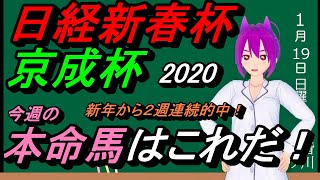 【競馬予想】日経新春杯 京成杯2020 本命馬発表！！ 3週連続的中なるか！？