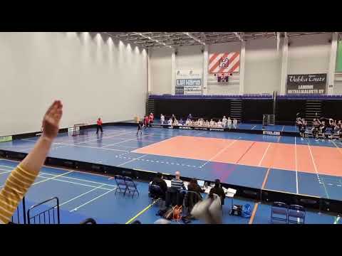 P19: 2. PVE Steelers - EräViikingit 26.3.2023 maalikooste